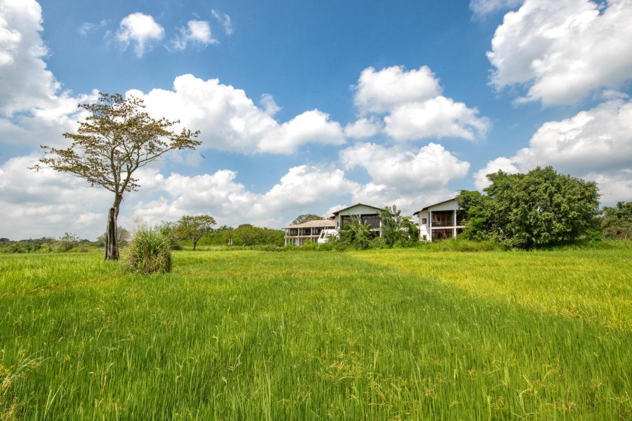 Ceylon Breeze Sigiriya Hotel Eksteriør billede